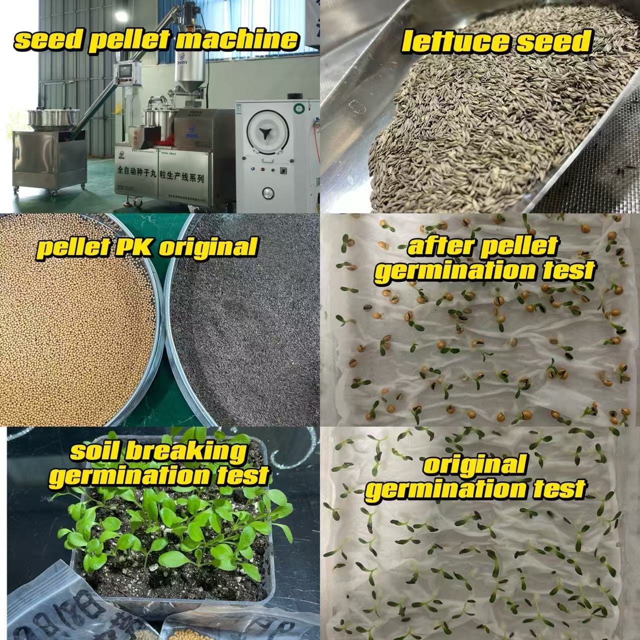 c6dd8ce7a31b40b35a52b4d04b4a3f57.jpg
